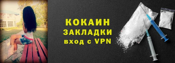крисы Абаза