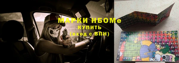 крисы Абаза