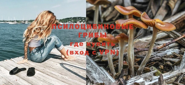 а пвп мука Краснослободск