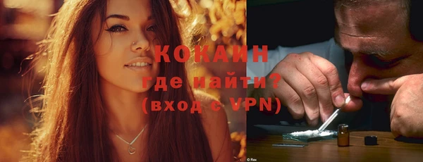 крисы Абаза